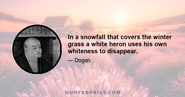 In a snowfall that covers the winter grass a white heron uses his own whiteness to disappear.