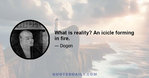 What is reality? An icicle forming in fire.