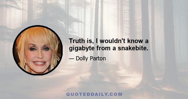 Truth is, I wouldn't know a gigabyte from a snakebite.