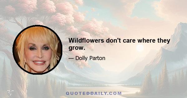 Wildflowers don't care where they grow.