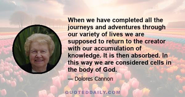 When we have completed all the journeys and adventures through our variety of lives we are supposed to return to the creator with our accumulation of knowledge. It is then absorbed. In this way we are considered cells