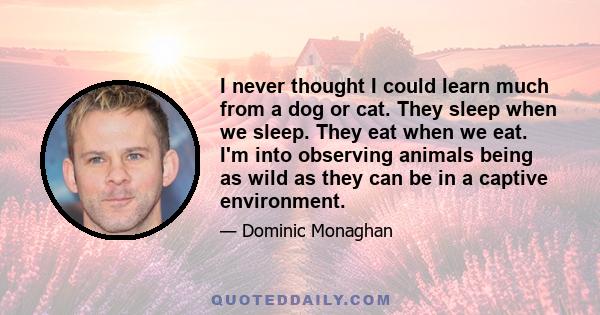 I never thought I could learn much from a dog or cat. They sleep when we sleep. They eat when we eat. I'm into observing animals being as wild as they can be in a captive environment.