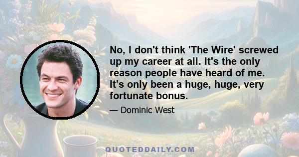 No, I don't think 'The Wire' screwed up my career at all. It's the only reason people have heard of me. It's only been a huge, huge, very fortunate bonus.