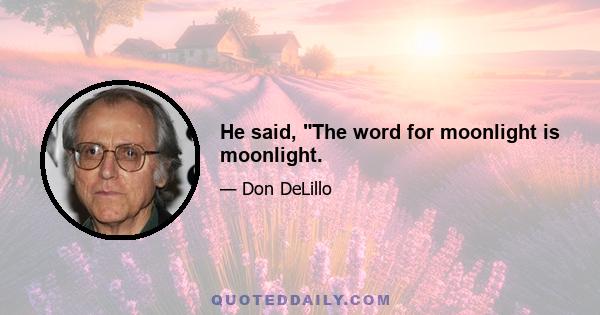 He said, The word for moonlight is moonlight.