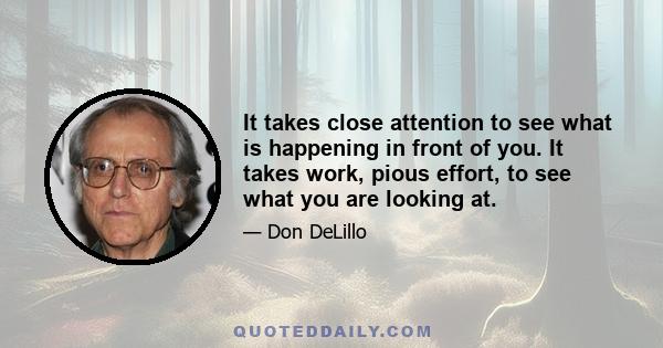 It takes close attention to see what is happening in front of you. It takes work, pious effort, to see what you are looking at.