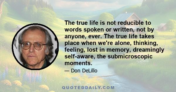 The true life is not reducible to words spoken or written, not by anyone, ever. The true life takes place when we're alone, thinking, feeling, lost in memory, dreamingly self-aware, the submicroscopic moments.