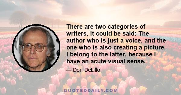 There are two categories of writers, it could be said: The author who is just a voice, and the one who is also creating a picture. I belong to the latter, because I have an acute visual sense.