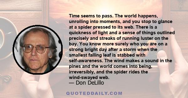 Time seems to pass. The world happens, unrolling into moments, and you stop to glance at a spider pressed to its web. There is a quickness of light and a sense of things outlined precisely and streaks of running luster