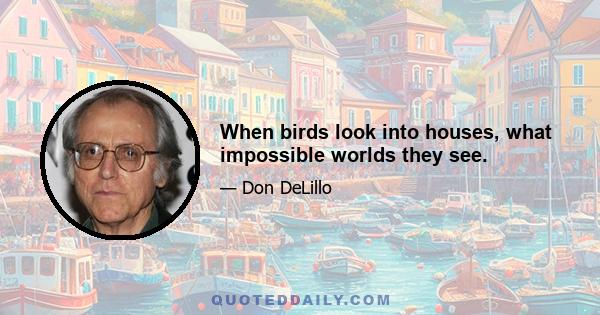 When birds look into houses, what impossible worlds they see.