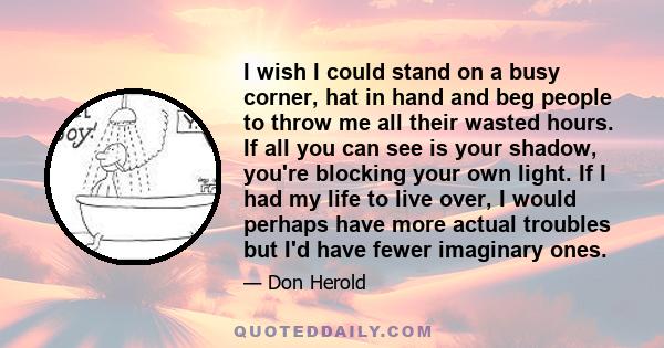 I wish I could stand on a busy corner, hat in hand and beg people to throw me all their wasted hours. If all you can see is your shadow, you're blocking your own light. If I had my life to live over, I would perhaps