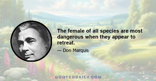 The female of all species are most dangerous when they appear to retreat.