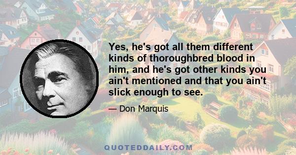Yes, he's got all them different kinds of thoroughbred blood in him, and he's got other kinds you ain't mentioned and that you ain't slick enough to see.