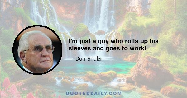 I'm just a guy who rolls up his sleeves and goes to work!