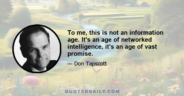 To me, this is not an information age. It's an age of networked intelligence, it's an age of vast promise.