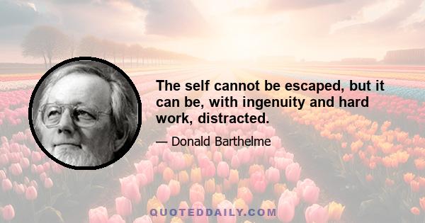 The self cannot be escaped, but it can be, with ingenuity and hard work, distracted.