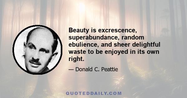 Beauty is excrescence, superabundance, random ebulience, and sheer delightful waste to be enjoyed in its own right.