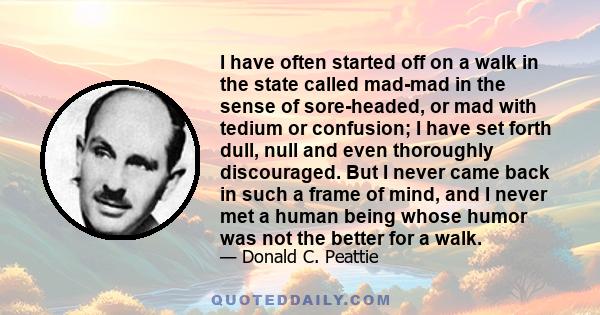 I have often started off on a walk in the state called mad-mad in the sense of sore-headed, or mad with tedium or confusion; I have set forth dull, null and even thoroughly discouraged. But I never came back in such a