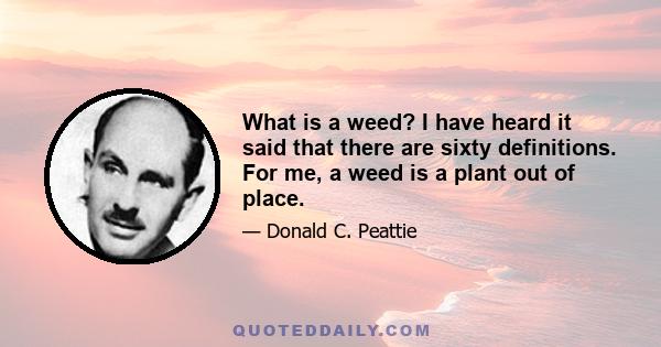 What is a weed? I have heard it said that there are sixty definitions. For me, a weed is a plant out of place.