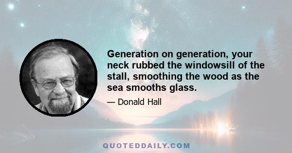 Generation on generation, your neck rubbed the windowsill of the stall, smoothing the wood as the sea smooths glass.