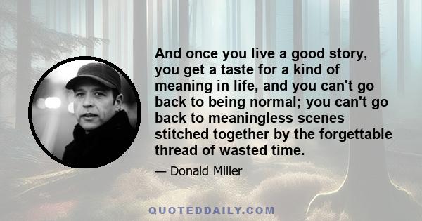 And once you live a good story, you get a taste for a kind of meaning in life, and you can't go back to being normal; you can't go back to meaningless scenes stitched together by the forgettable thread of wasted time.