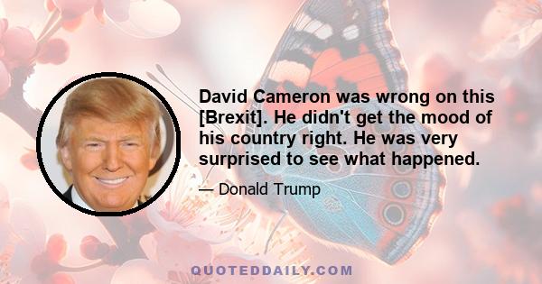 David Cameron was wrong on this [Brexit]. He didn't get the mood of his country right. He was very surprised to see what happened.