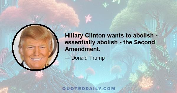 Hillary Clinton wants to abolish - essentially abolish - the Second Amendment.