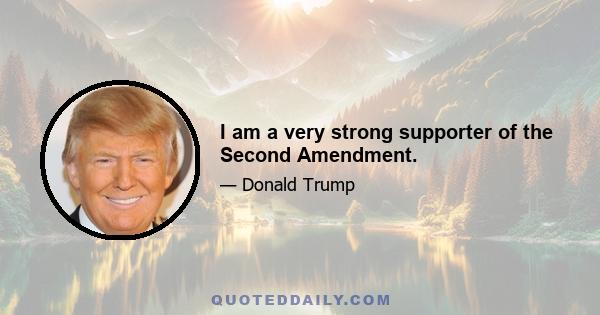 I am a very strong supporter of the Second Amendment.