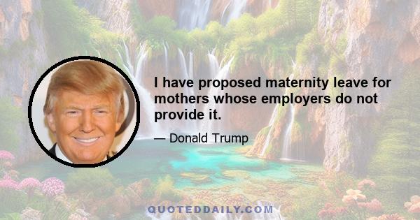 I have proposed maternity leave for mothers whose employers do not provide it.