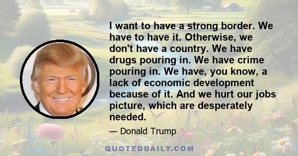 I want to have a strong border. We have to have it. Otherwise, we don't have a country. We have drugs pouring in. We have crime pouring in. We have, you know, a lack of economic development because of it. And we hurt