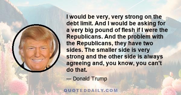 I would be very, very strong on the debt limit. And I would be asking for a very big pound of flesh if I were the Republicans. And the problem with the Republicans, they have two sides. The smaller side is very strong