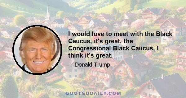 I would love to meet with the Black Caucus, it's great, the Congressional Black Caucus, I think it's great.