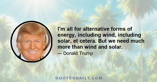 I'm all for alternative forms of energy, including wind, including solar, et cetera. But we need much more than wind and solar.