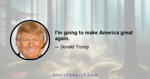 I'm going to make America great again.