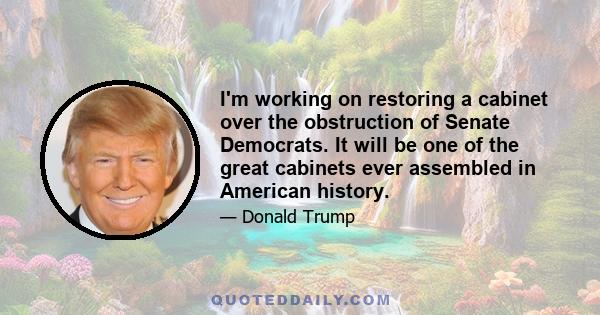 I'm working on restoring a cabinet over the obstruction of Senate Democrats. It will be one of the great cabinets ever assembled in American history.