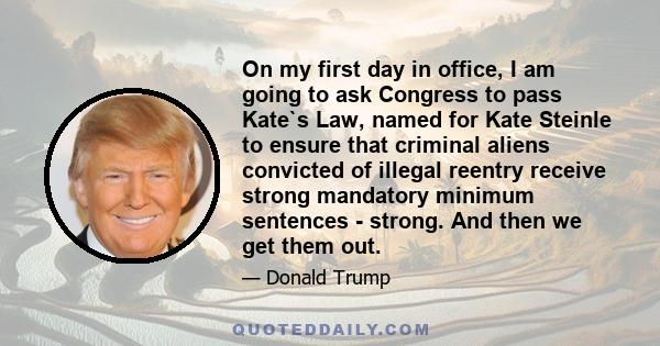 On my first day in office, I am going to ask Congress to pass Kate`s Law, named for Kate Steinle to ensure that criminal aliens convicted of illegal reentry receive strong mandatory minimum sentences - strong. And then