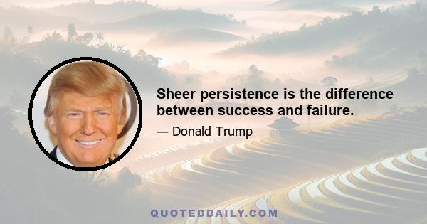 Sheer persistence is the difference between success and failure.