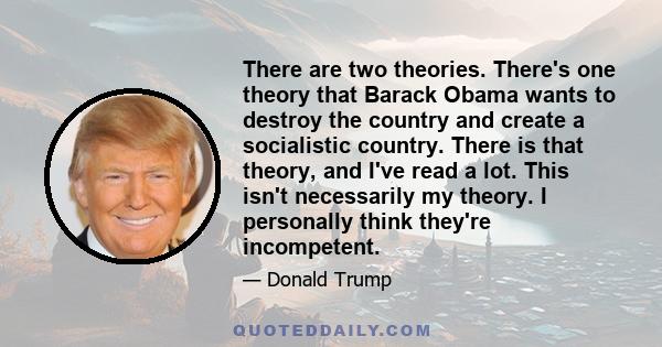 There are two theories. There's one theory that Barack Obama wants to destroy the country and create a socialistic country. There is that theory, and I've read a lot. This isn't necessarily my theory. I personally think 