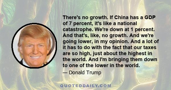 There's no growth. If China has a GDP of 7 percent, it's like a national catastrophe. We're down at 1 percent. And that's, like, no growth. And we're going lower, in my opinion. And a lot of it has to do with the fact