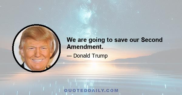 We are going to save our Second Amendment.