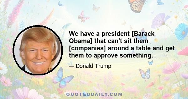 We have a president [Barack Obama] that can't sit them [companies] around a table and get them to approve something.