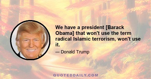 We have a president [Barack Obama] that won't use the term radical Islamic terrorism, won't use it.