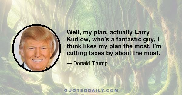 Well, my plan, actually Larry Kudlow, who's a fantastic guy, I think likes my plan the most. I'm cutting taxes by about the most.