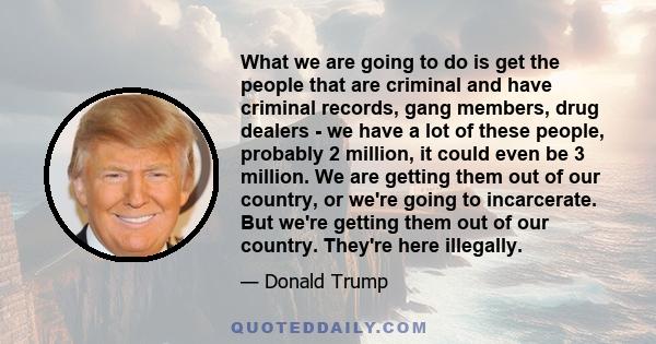 What we are going to do is get the people that are criminal and have criminal records, gang members, drug dealers - we have a lot of these people, probably 2 million, it could even be 3 million. We are getting them out