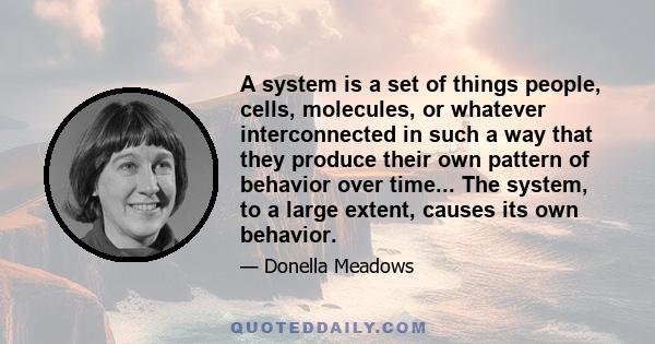 A system is a set of things people, cells, molecules, or whatever interconnected in such a way that they produce their own pattern of behavior over time... The system, to a large extent, causes its own behavior.