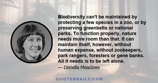 Biodiversity can't be maintained by protecting a few species in a zoo, or by preserving greenbelts or national parks. To function properly, nature needs more room than that. It can maintain itself, however, without