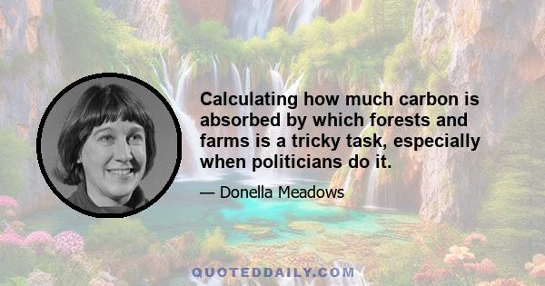 Calculating how much carbon is absorbed by which forests and farms is a tricky task, especially when politicians do it.