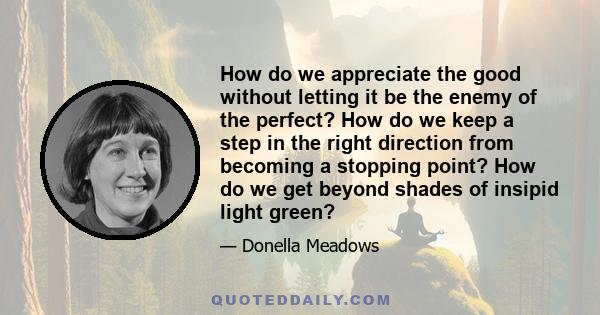 How do we appreciate the good without letting it be the enemy of the perfect? How do we keep a step in the right direction from becoming a stopping point? How do we get beyond shades of insipid light green?