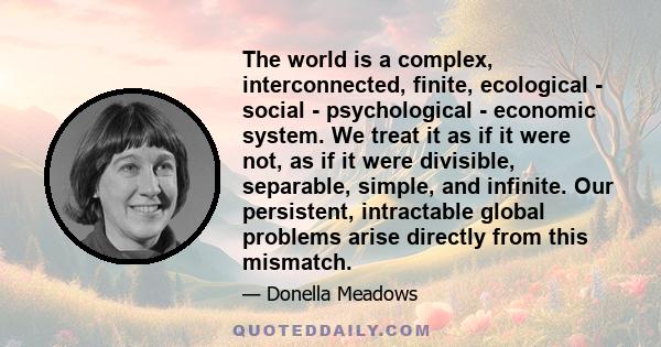 The world is a complex, interconnected, finite, ecological - social - psychological - economic system. We treat it as if it were not, as if it were divisible, separable, simple, and infinite. Our persistent, intractable 