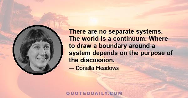 There are no separate systems. The world is a continuum. Where to draw a boundary around a system depends on the purpose of the discussion.