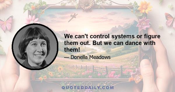 We can't control systems or figure them out. But we can dance with them!